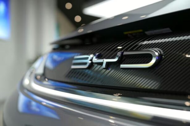 BYD prekės ženklas / TY Lim / Shutterstock.com