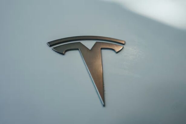 Tesla logotipas / NorthSky Films / Shutterstock.com