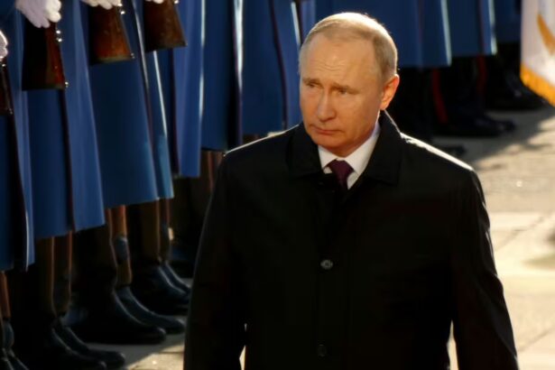 V. Putinas / Golden Brown / Shutterstock.com