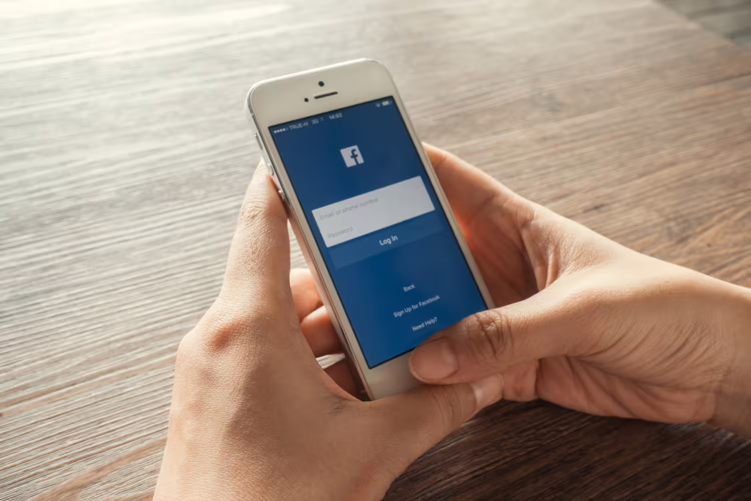 "Facebook" trina paskyras
