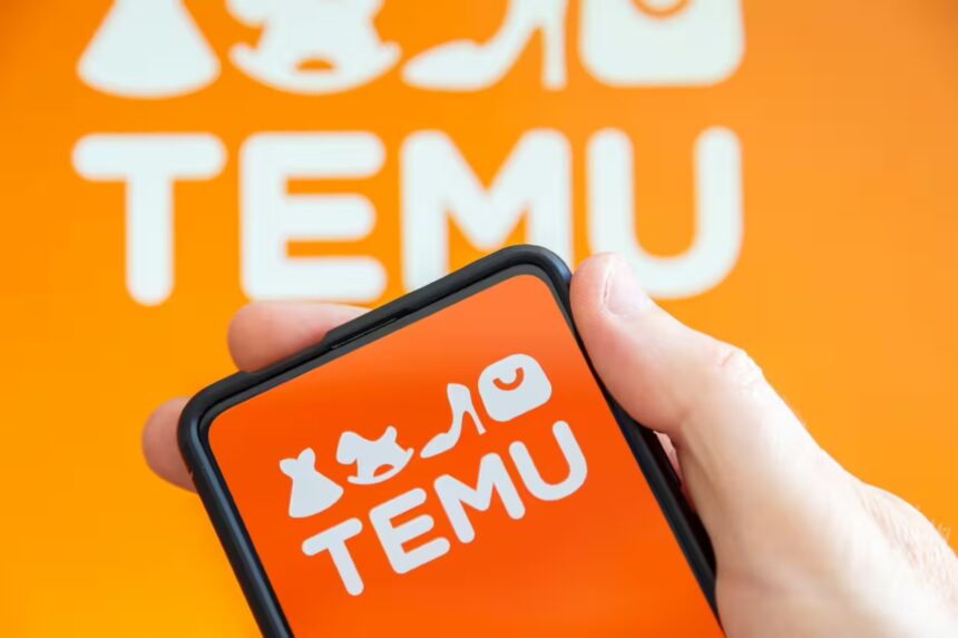 Apsipirkimas Temu / Markus Mainka / Shutterstock.com