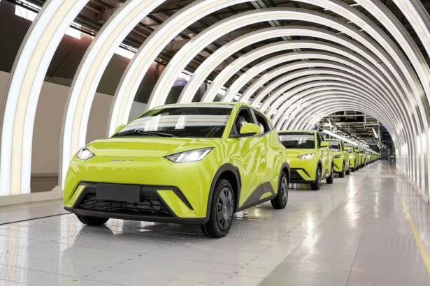 BYD Dolphin Surf