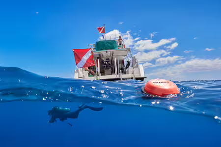 Descent S1 Buoy