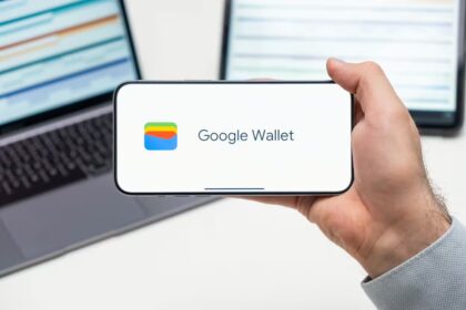 Google piniginė / Vladimka production / Shutterstock.com