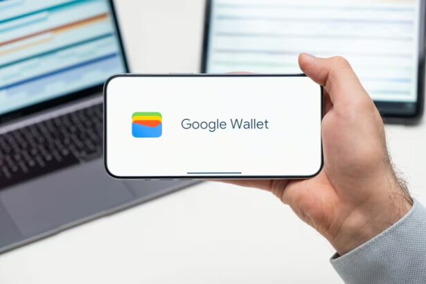 Google piniginė / Vladimka production / Shutterstock.com