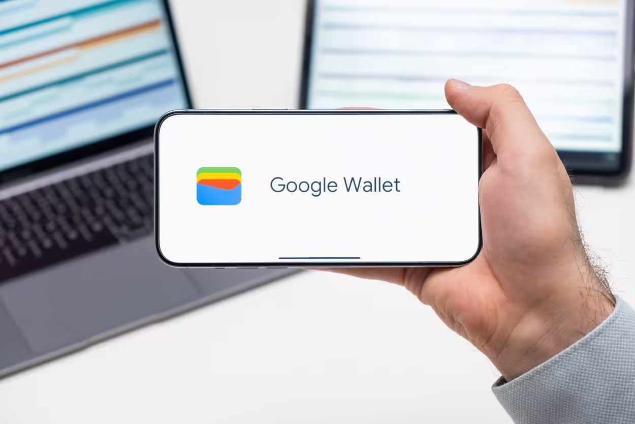 Google piniginė / Vladimka production / Shutterstock.com