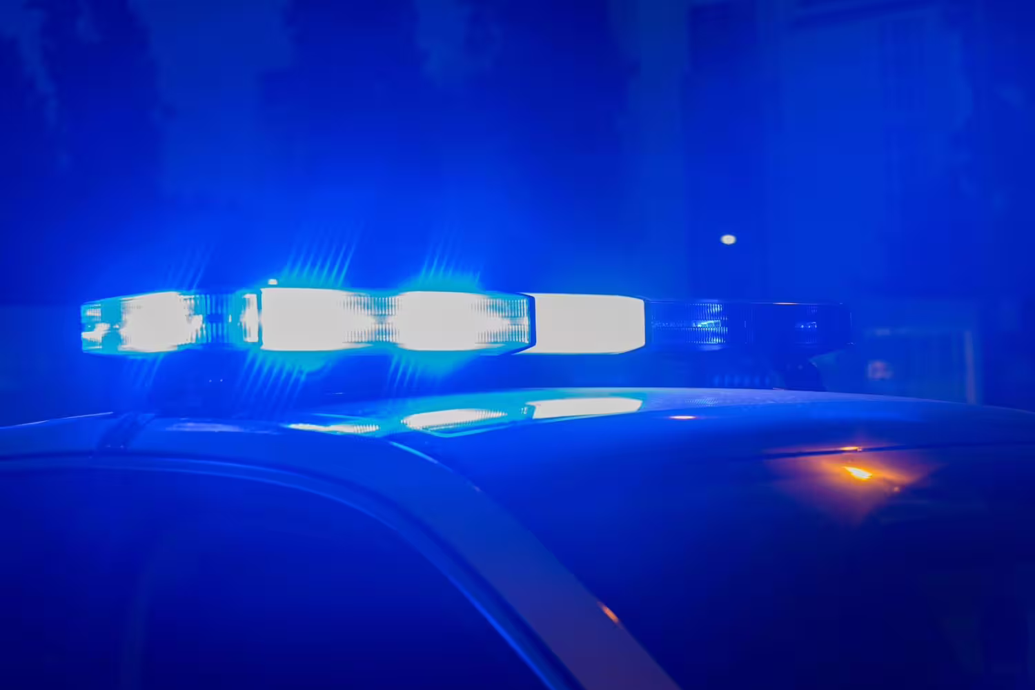 Įspėjimas iš Lietuvos policijos / Wirestock Creators / Shutterstock.com