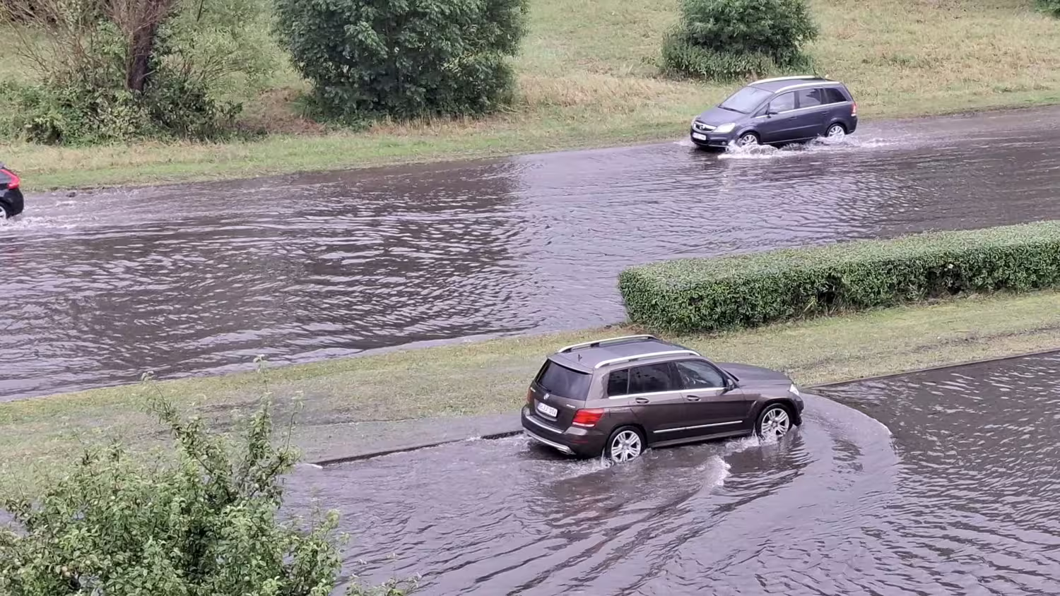 Liūtis Klaipėdoje
