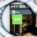 SEB banko svetainė / ilikeyellow / Shutterstock.com