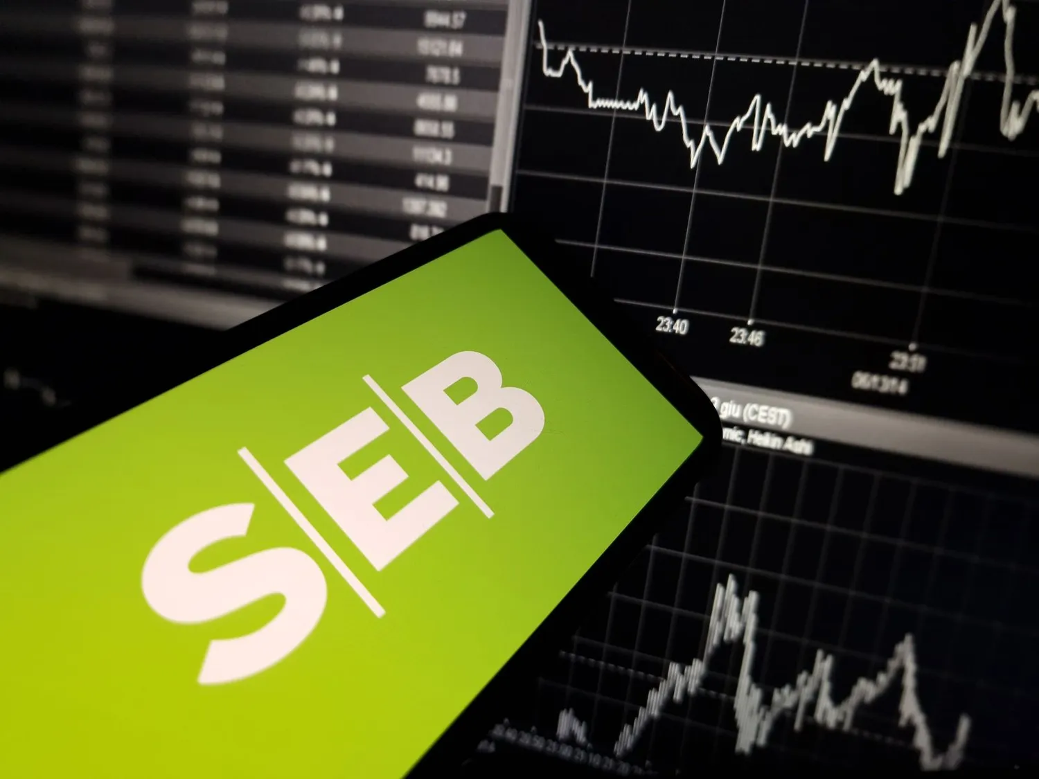 SEB paslaugos / Piotr Swat / Shutterstock.com