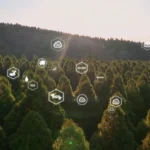 Dirbtinis intelektas išskiria didelį kiekį CO2