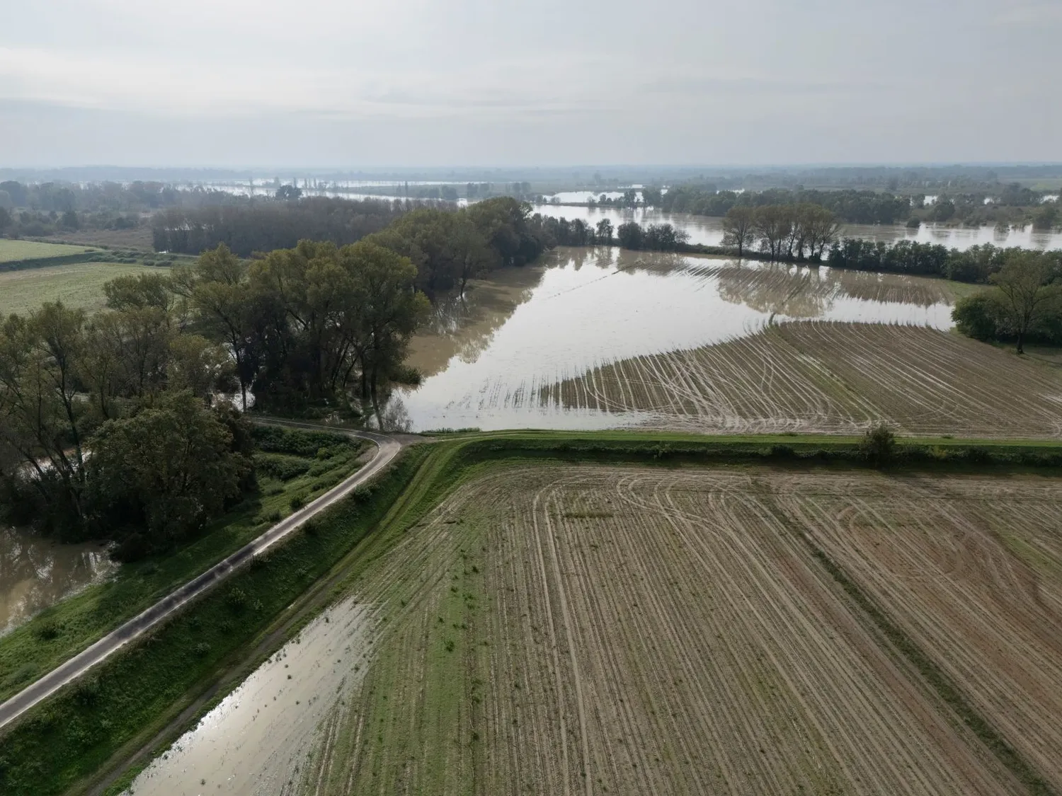 Liūtys pridarė daug nuostolių