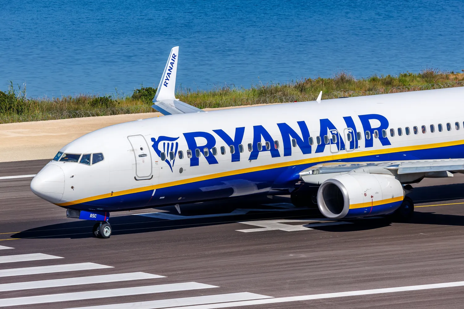 Ryanair atšaukia skrydžius / Markus Mainka / Shutterstock.com