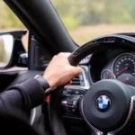 BMW automobilio vidus / Evgeny_V / Shutterstock.com
