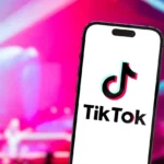 TikTok vaizdo įrašų kūrėjai / Kaspars Grinvalds / Shutterstock.com