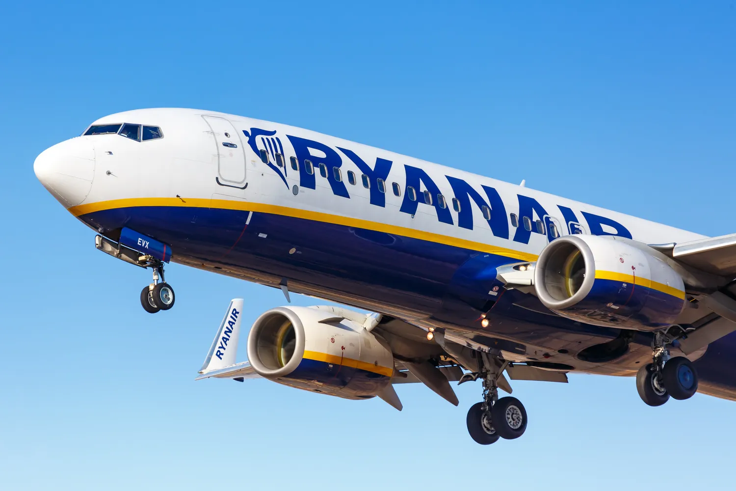 Ryanair lėktuvo skrydis vos nesibaigė tragedija / Markus Mainka / Shutterstock.com
