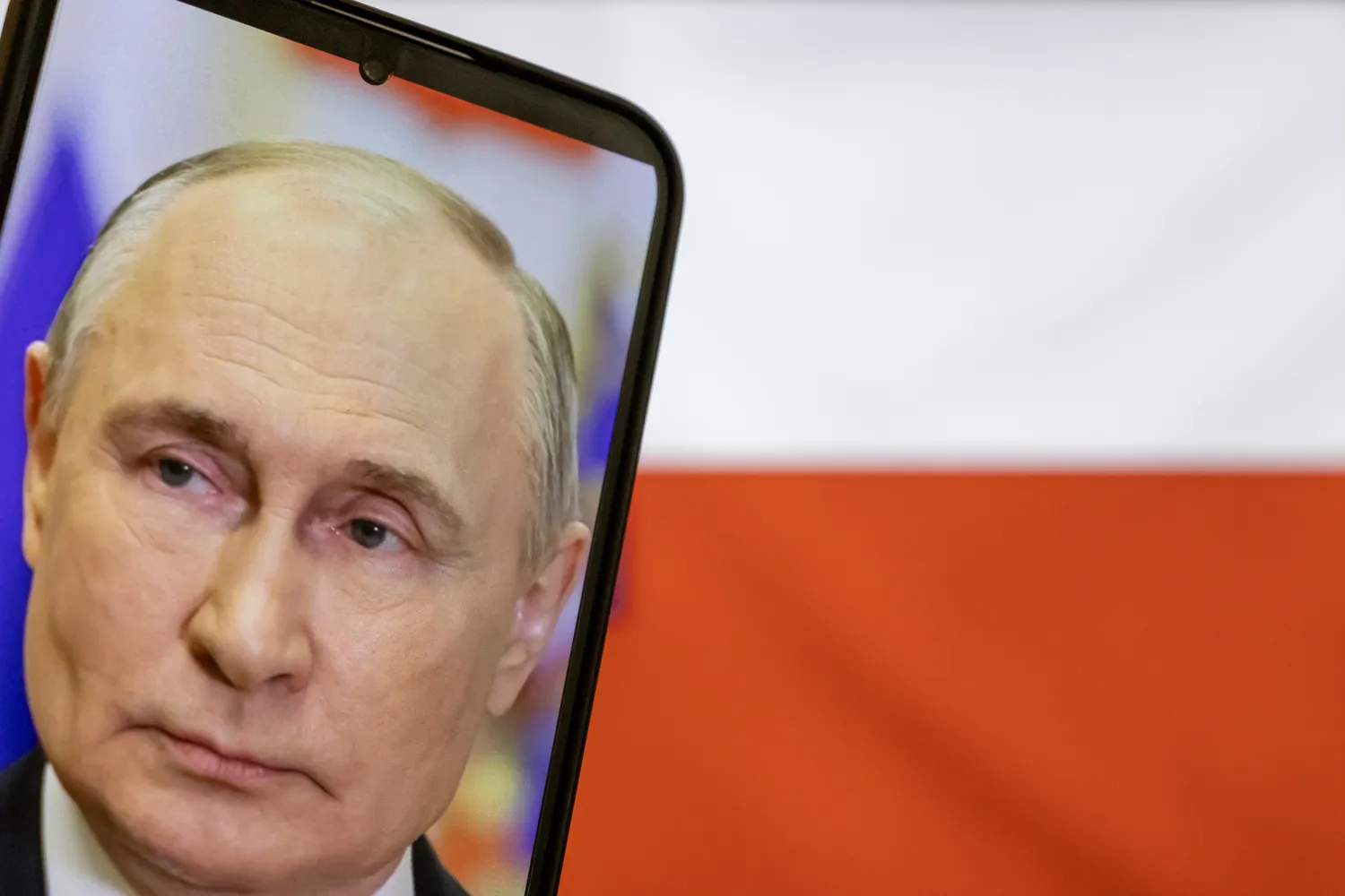 V. Putinas / daily_creativity / Shutterstock.com