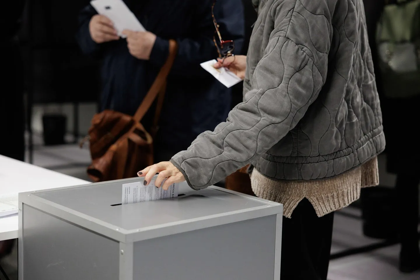 Seimo Balsavimas Dėl Poligono / Nuotrauka: lrytas.lt (Brave)