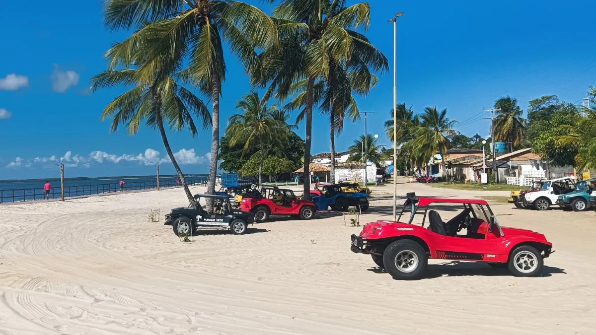 Image Enklawa Polaków Oceanem / Nuotrauka: polskiobserwator.de