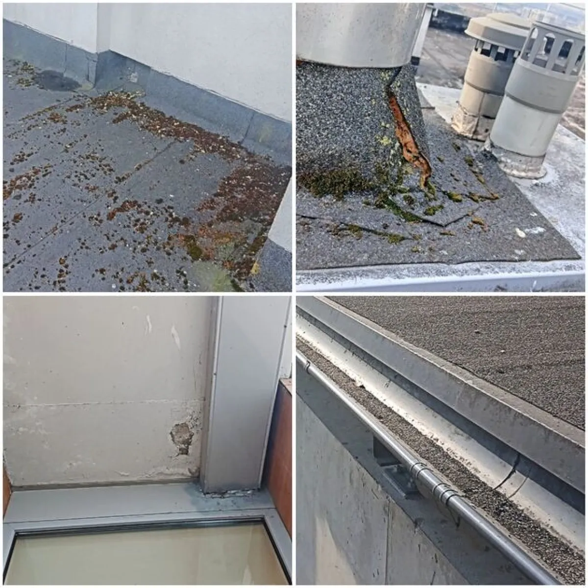 Žiemos Daugiabučiams Pavasaris Prasideda / Nuotrauka: sc.bns.lt