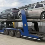 mytnyky zavadyly sprobi siroho importu elektromobiliv 2 2245 2