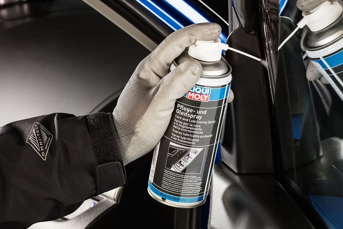 photo 5427342089839647066 y