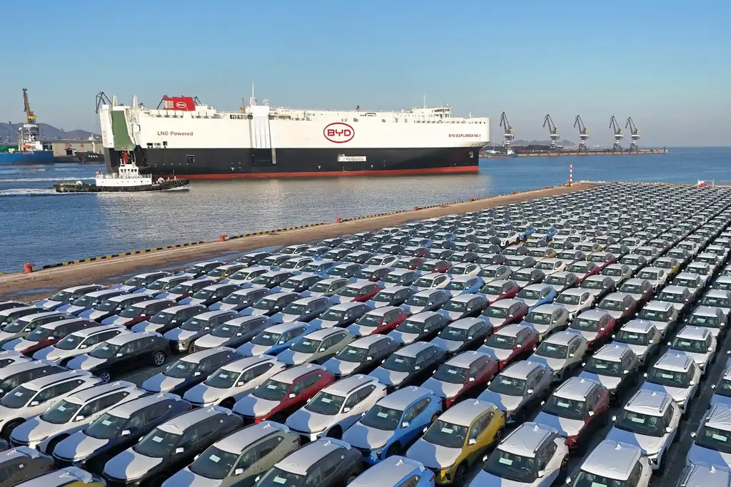 240126 bydships resize 2419 2