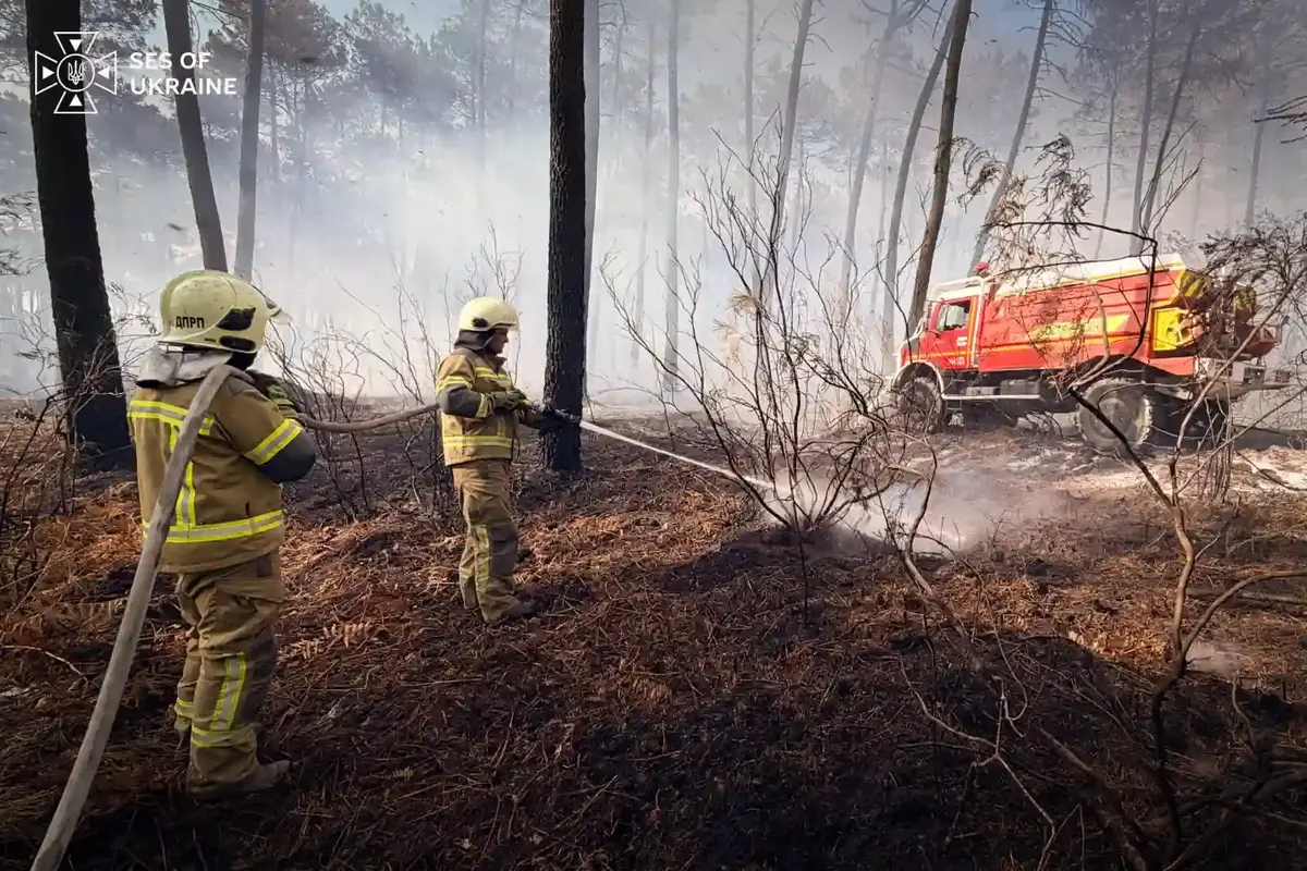 iak ukrainski pozhezhni avtomobili dopomohly vriatuvaty frantsuzke selyshche video 8 2425 17