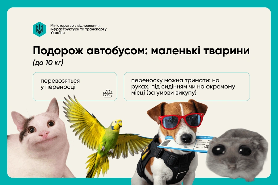 iaki pravyla perevezennia tvaryn poizdom ta avtobusom 3 2383 5