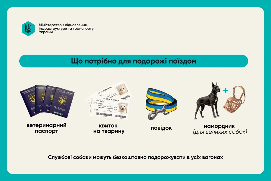 iaki pravyla perevezennia tvaryn poizdom ta avtobusom 6 2383 2