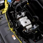 los ford 10 ecoboost tricilindricos estan dando problemas de correas banadas que recuerdan al caso puretech 2026115650 1785864395 1