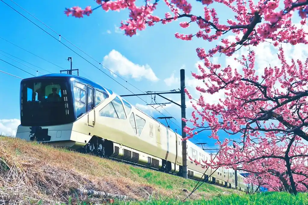 train suite shiki shima with cherry blossoms l resize